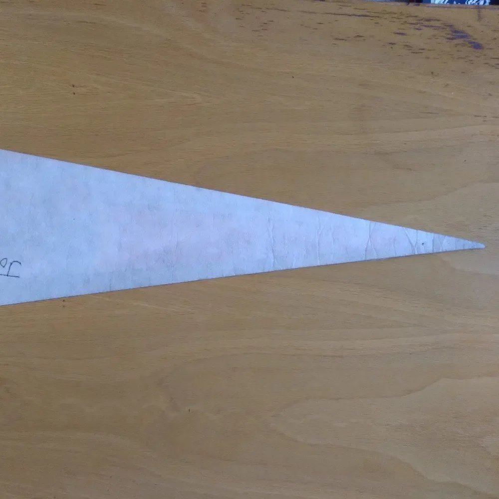 Vintage 60s Johnson Space Center Apollo 2 Moon Landing Pennant Flag